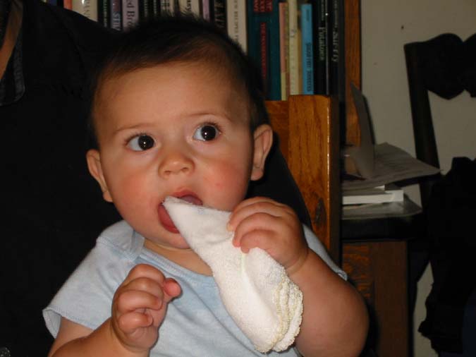 Pre-teething on frozen washcloth -- 6/22/02