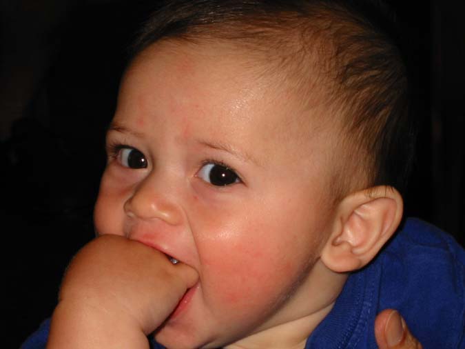 I can't believe I ate the Whole Thing -- 7/6/02